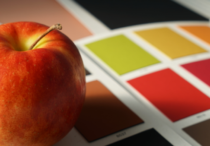 APPLE LEATHER