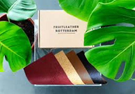 FRUIT LEATHER